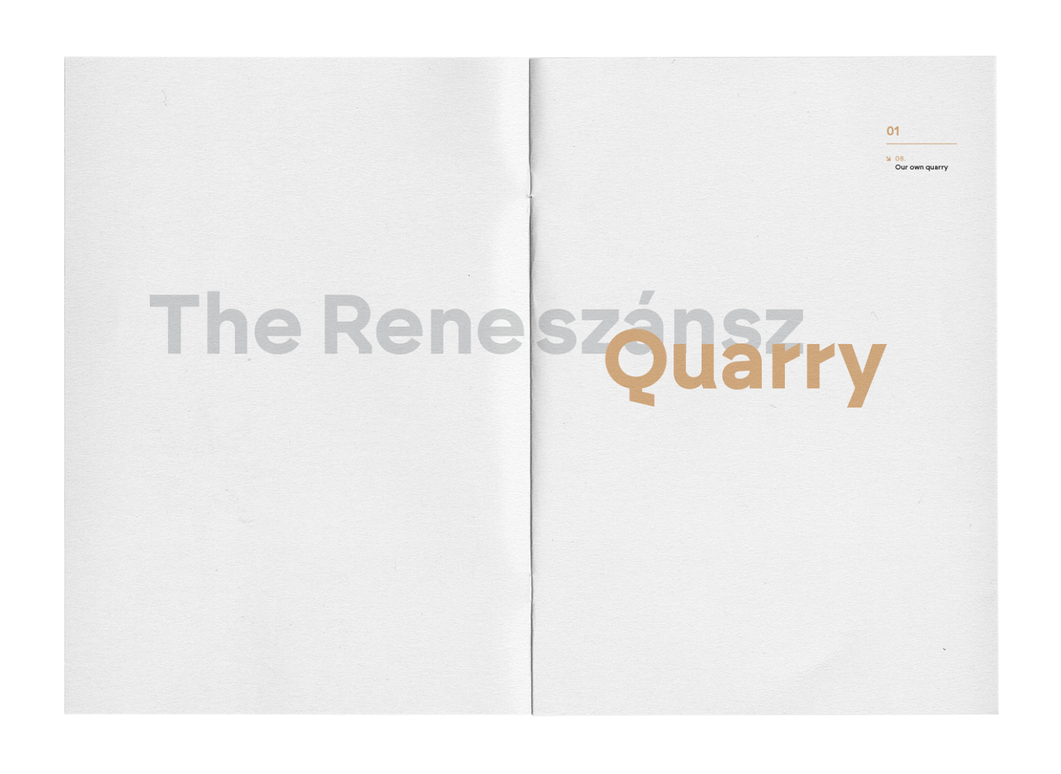 Renesz&aacute;nsz m&eacute;szkő - 1 by Mezei Zolt&aacute;n