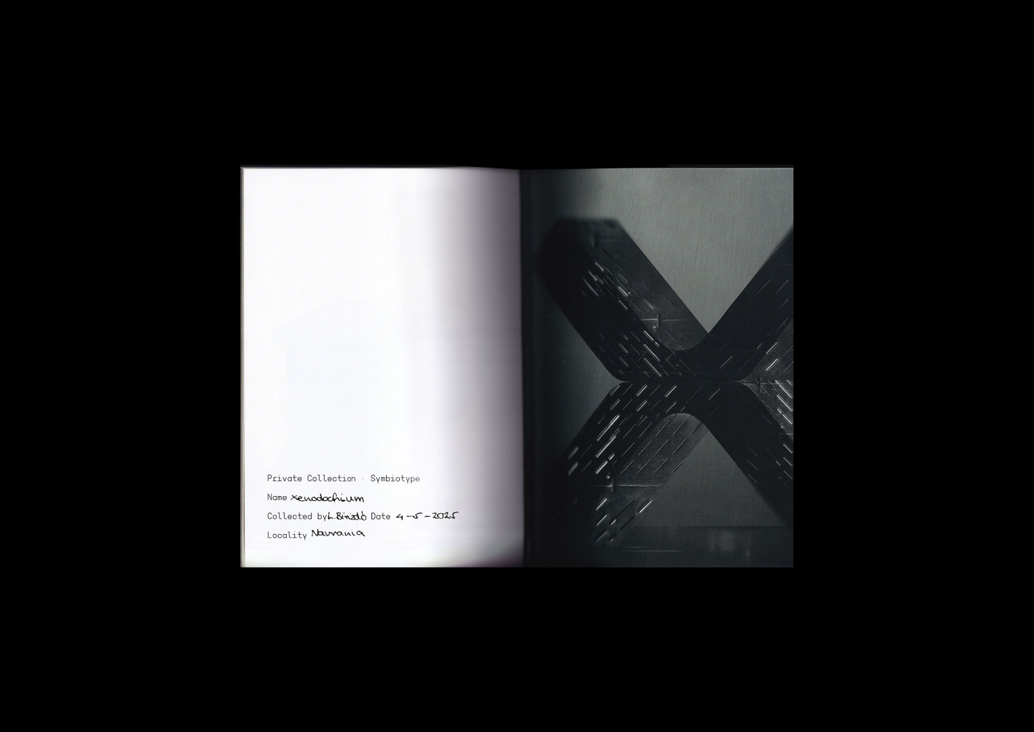 Symbiotype - 1 by Birizd&oacute; Liza