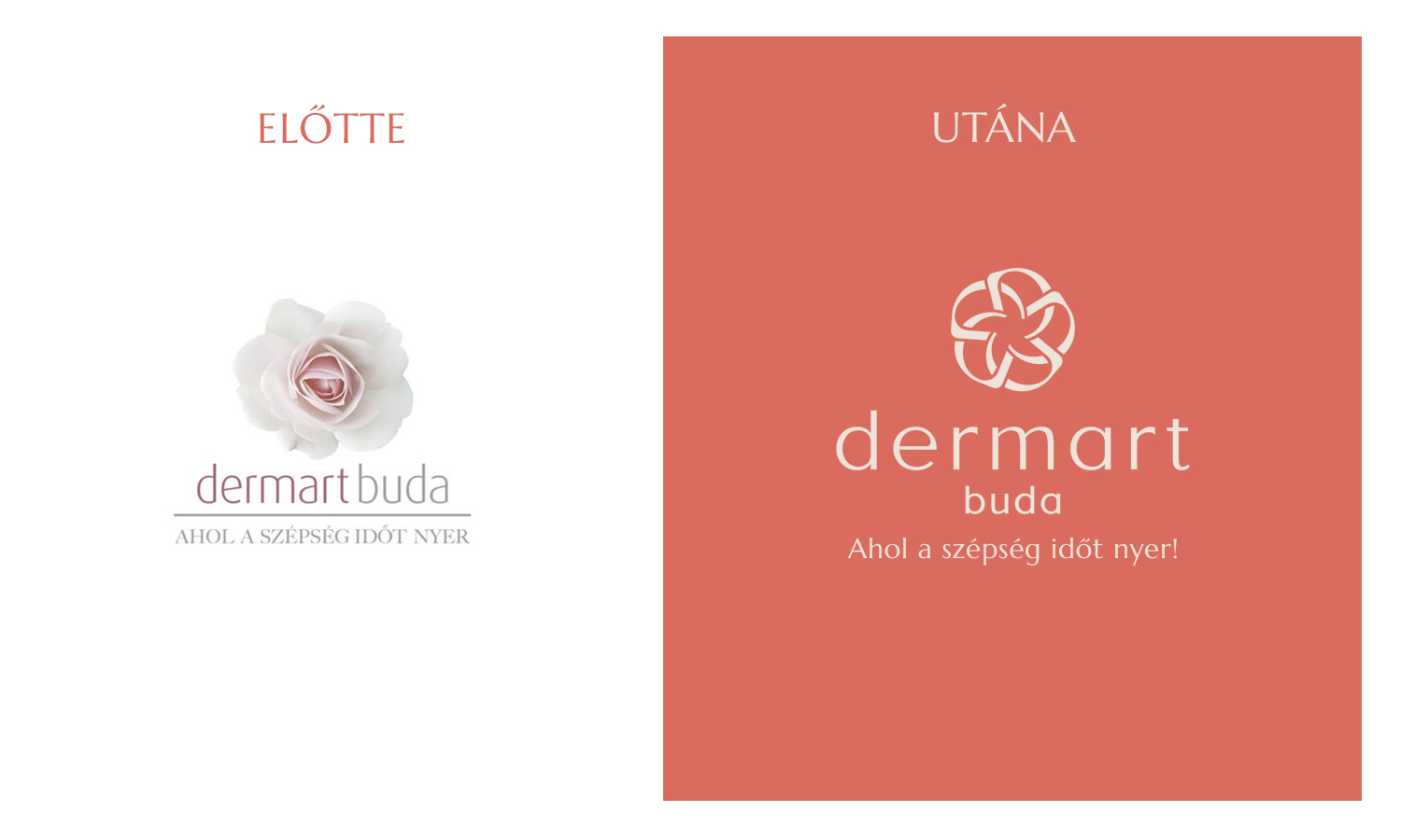 Dermart Buda rebranding - 1 by opengroup