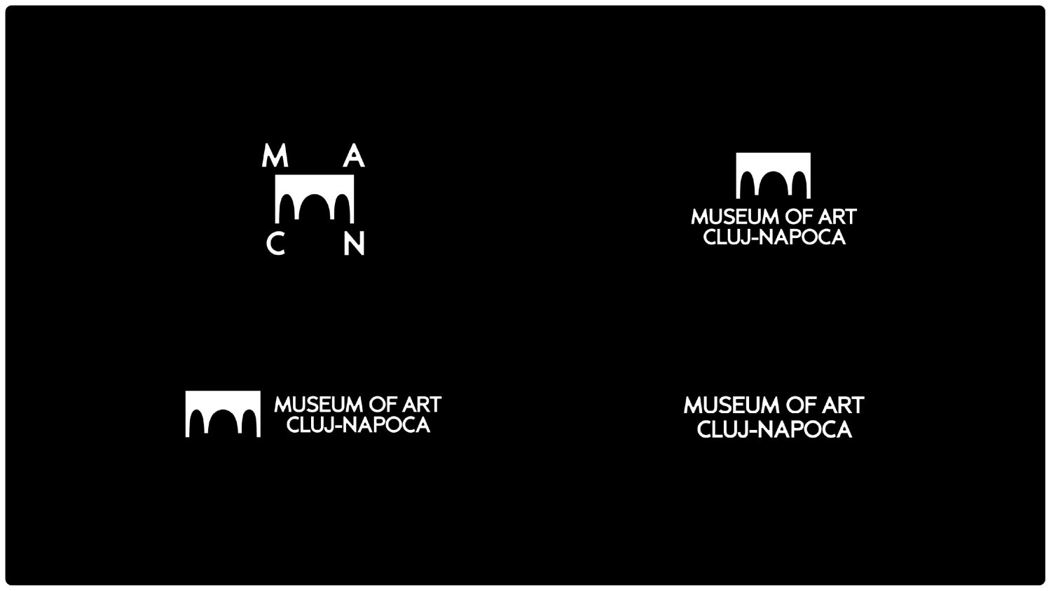 Museum of Art - Cluj Napoca - 1 by Muresan D&aacute;vid