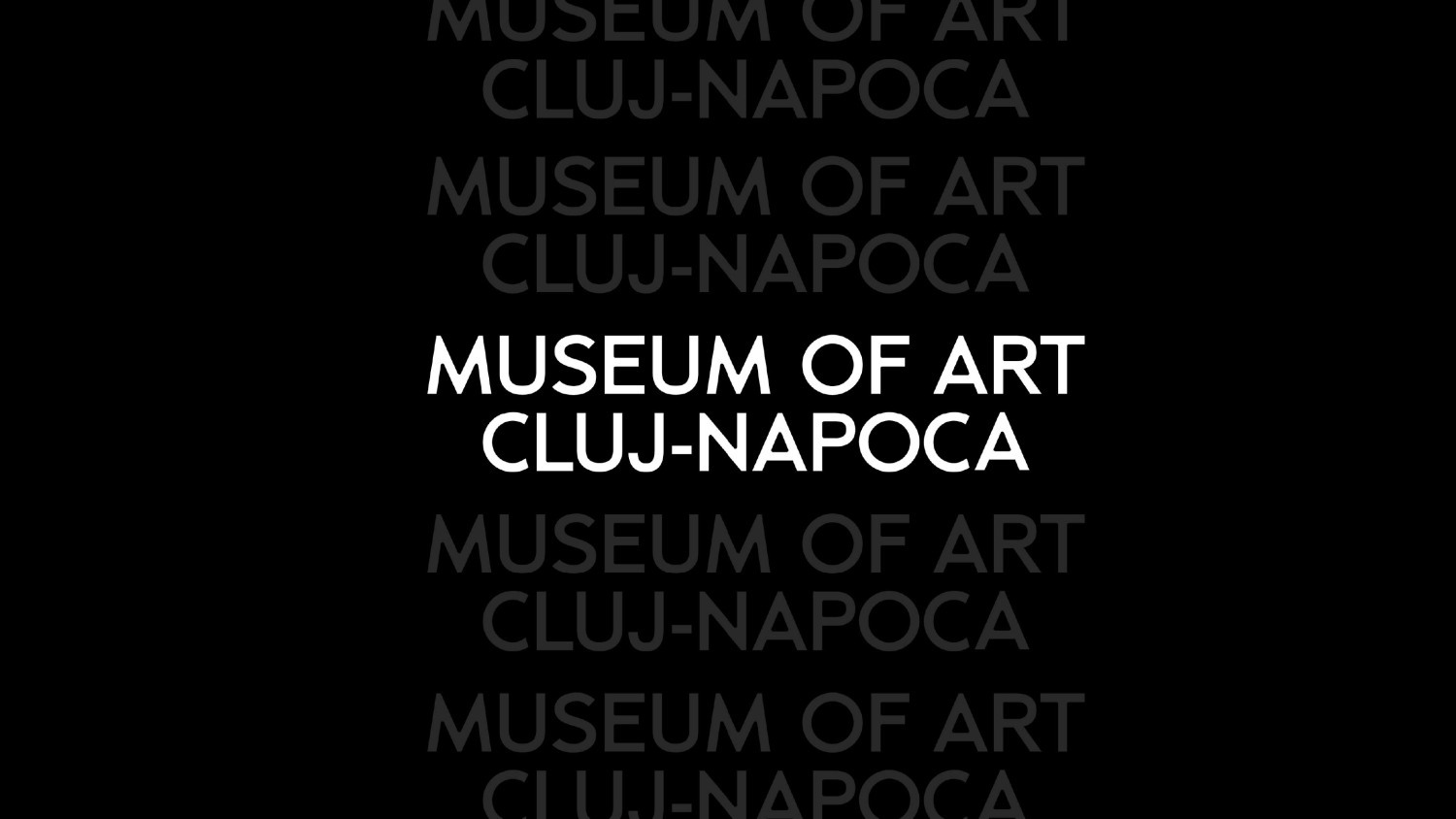 Museum of Art - Cluj Napoca - 1 by Muresan D&aacute;vid