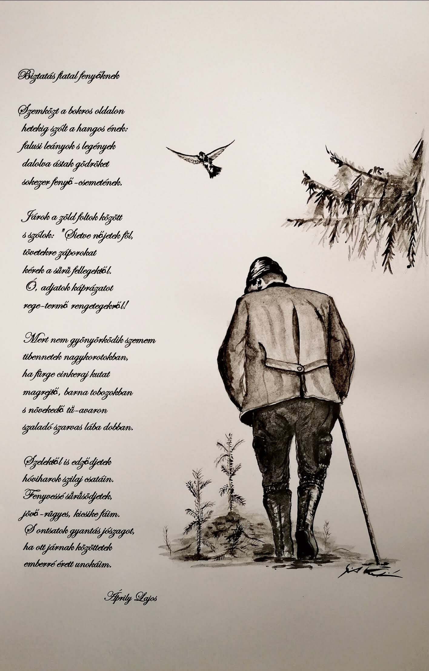Illusztr&aacute;ci&oacute;k - 1 by Szita Krist&oacute;f