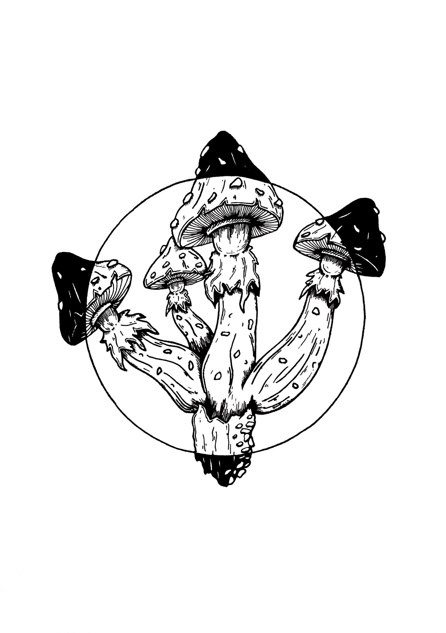 "The mushroom" - 1 by Mocs&aacute;ri Dani