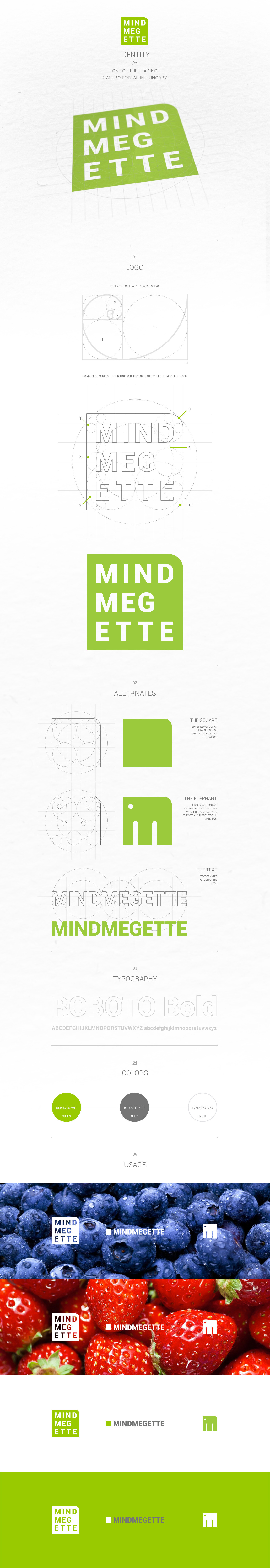 Identity for MINDMEGETTE - 1 by pkova