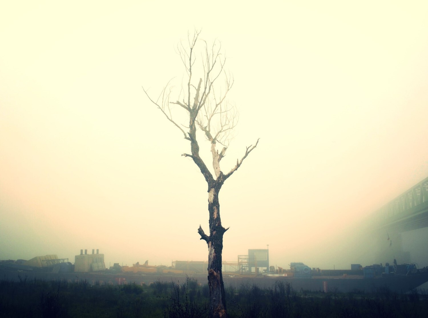 K&ouml;d - 1 by palinta