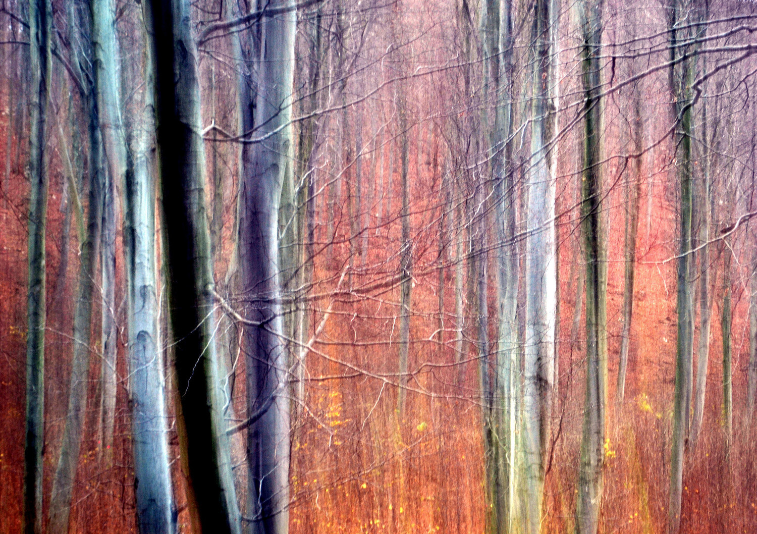 many - 1 by palinta