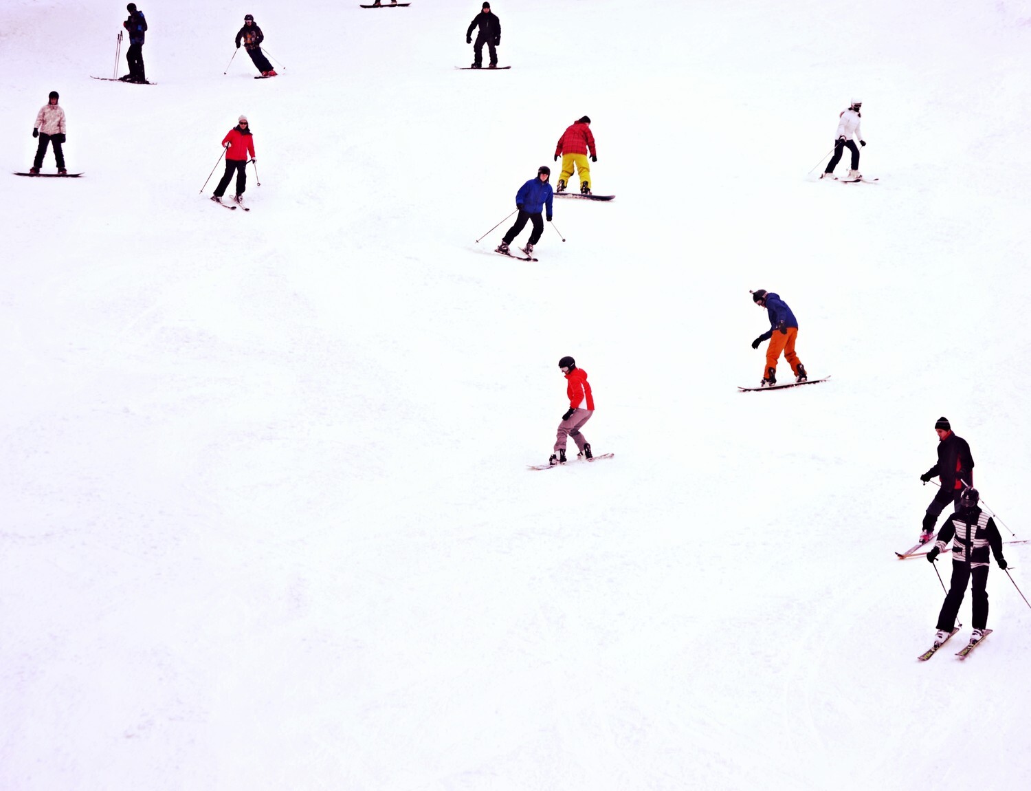 many - 1 by palinta