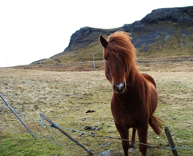 &iacute;sland - 1 by palinta