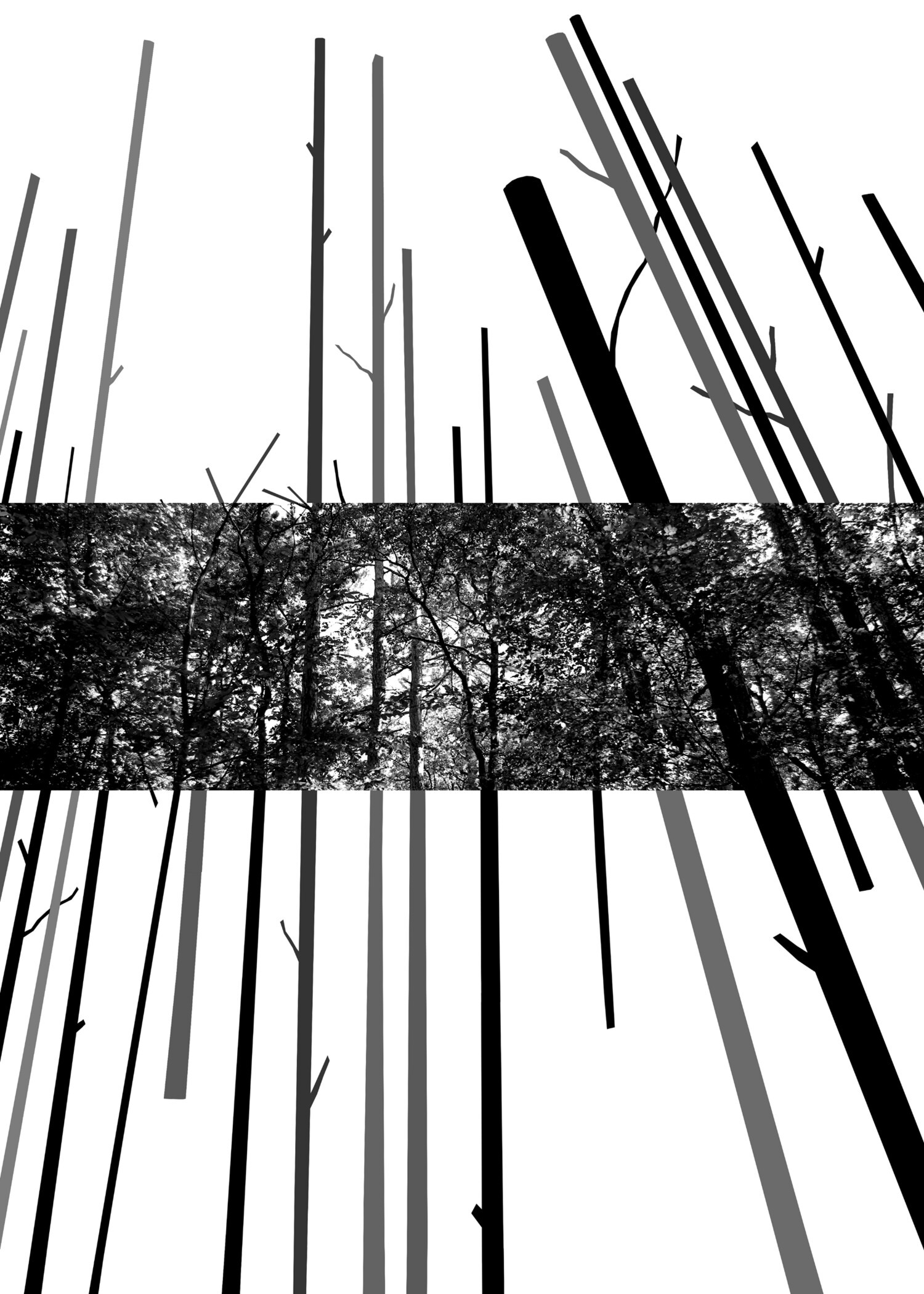 Fot&oacute;kieg&eacute;sz&iacute;t&eacute;sek I. - 1 by ifj. Ficzek Ferenc