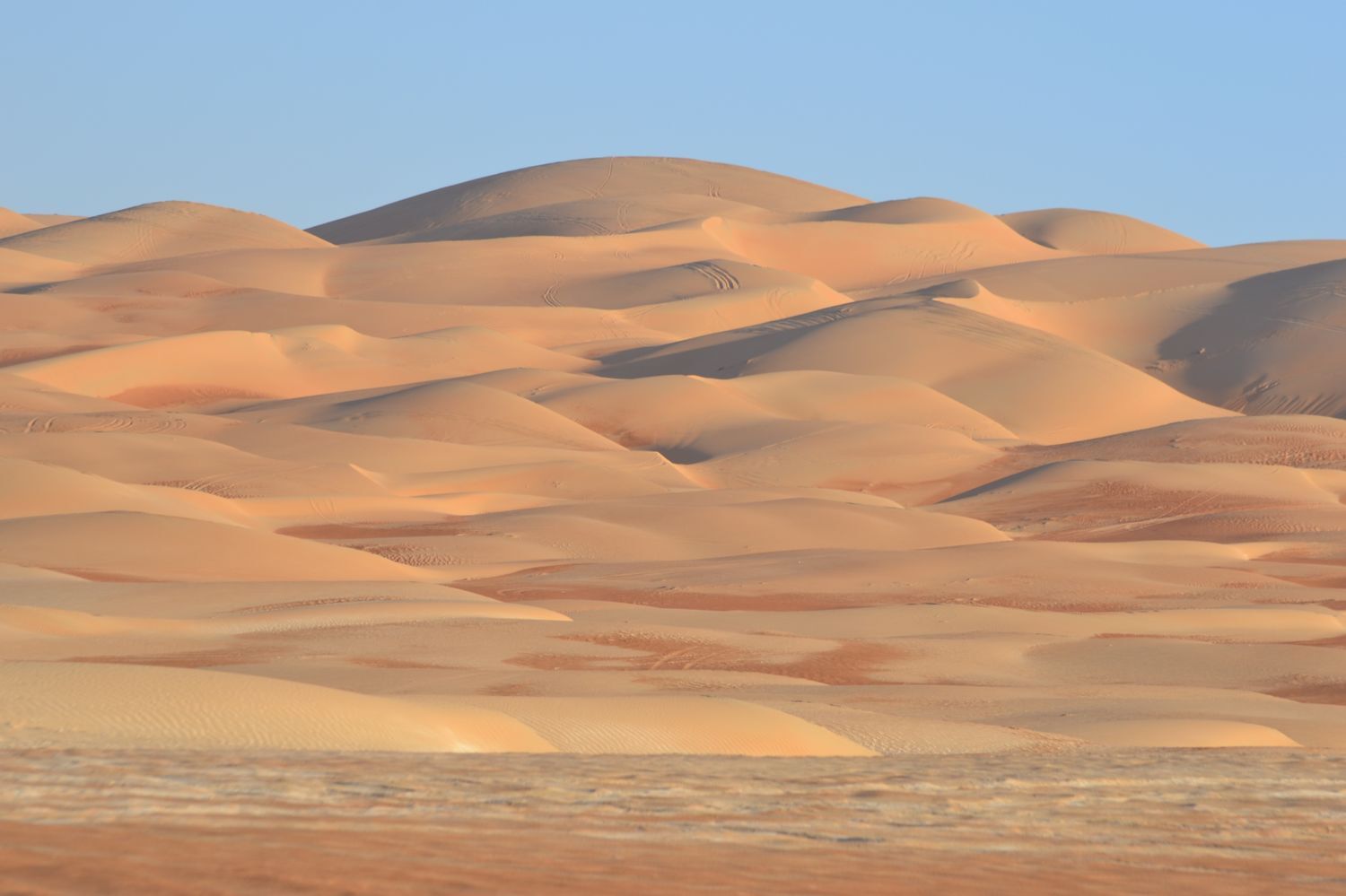 sandland - 1 by palinta