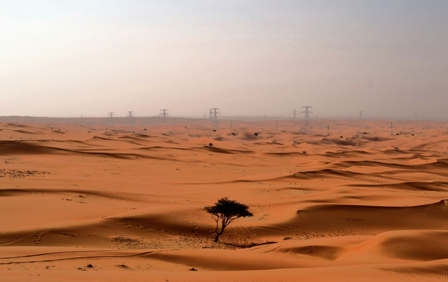 sandland - 1 by palinta