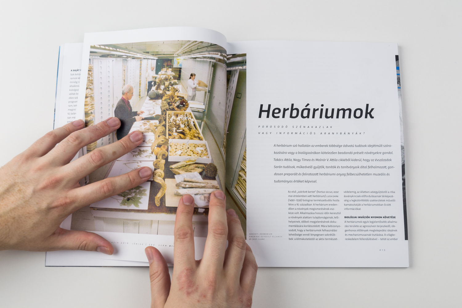 18 &ndash; IPM magazin &uacute;jratervez&eacute;se | MA diploma - 1 by Kelemen Rich&aacute;rd