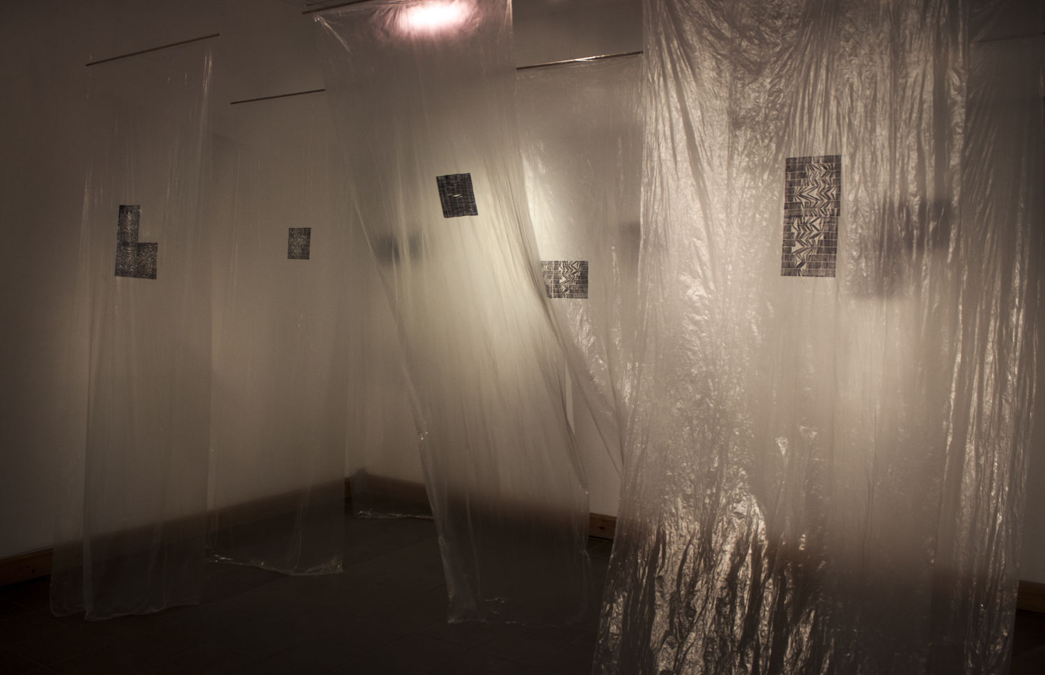 F&Eacute;NY_&Aacute;RNY&Eacute;K_TRANSZPARENCIA______DIPLOMA2016 - 1 by T&oacute;th  Valentina