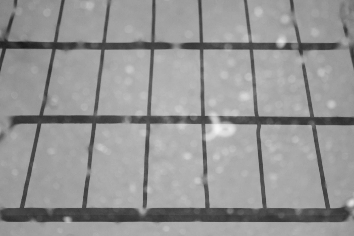 Look into the puddle (2016) - 1 by Hajn&aacute;cs Mih&aacute;ly