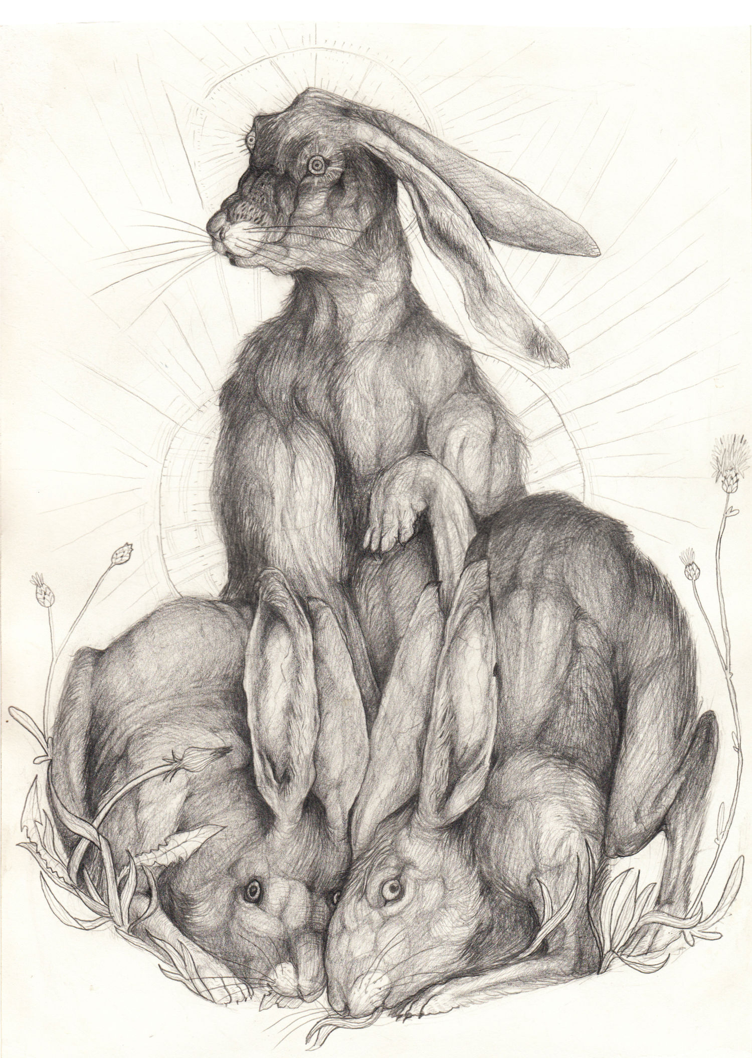 ilusztr&aacute;ci&oacute;k a Watership Down c&iacute;mű k&ouml;nyvh&ouml;z - 1 by Radics M&aacute;rton