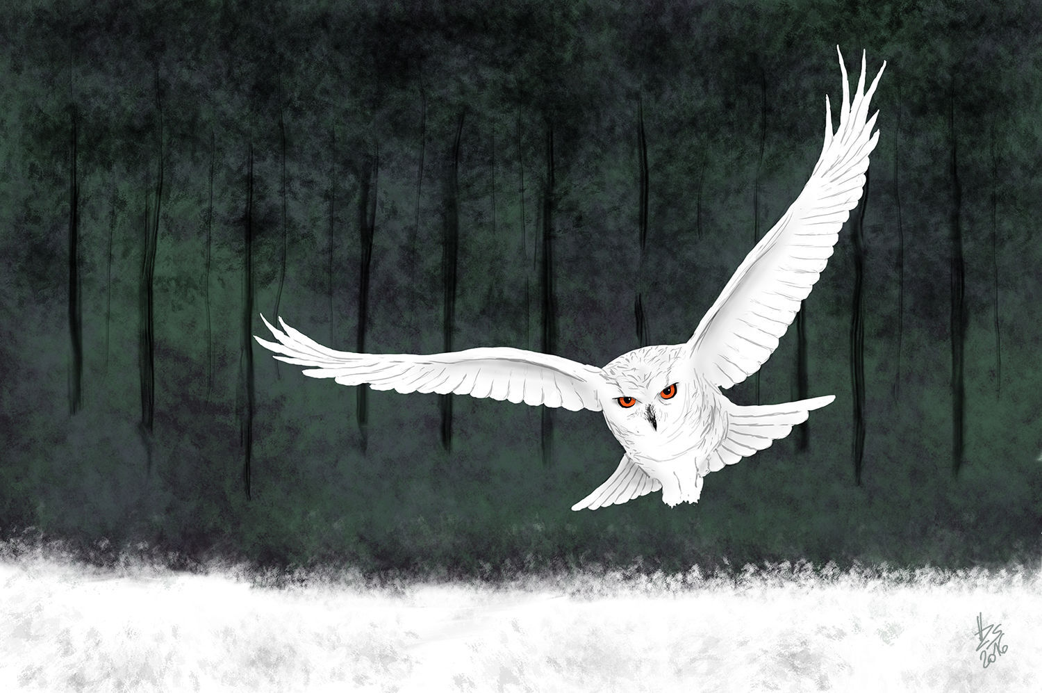 H&oacute;bagoly - 1 by Horv&aacute;th Zs&oacute;fia