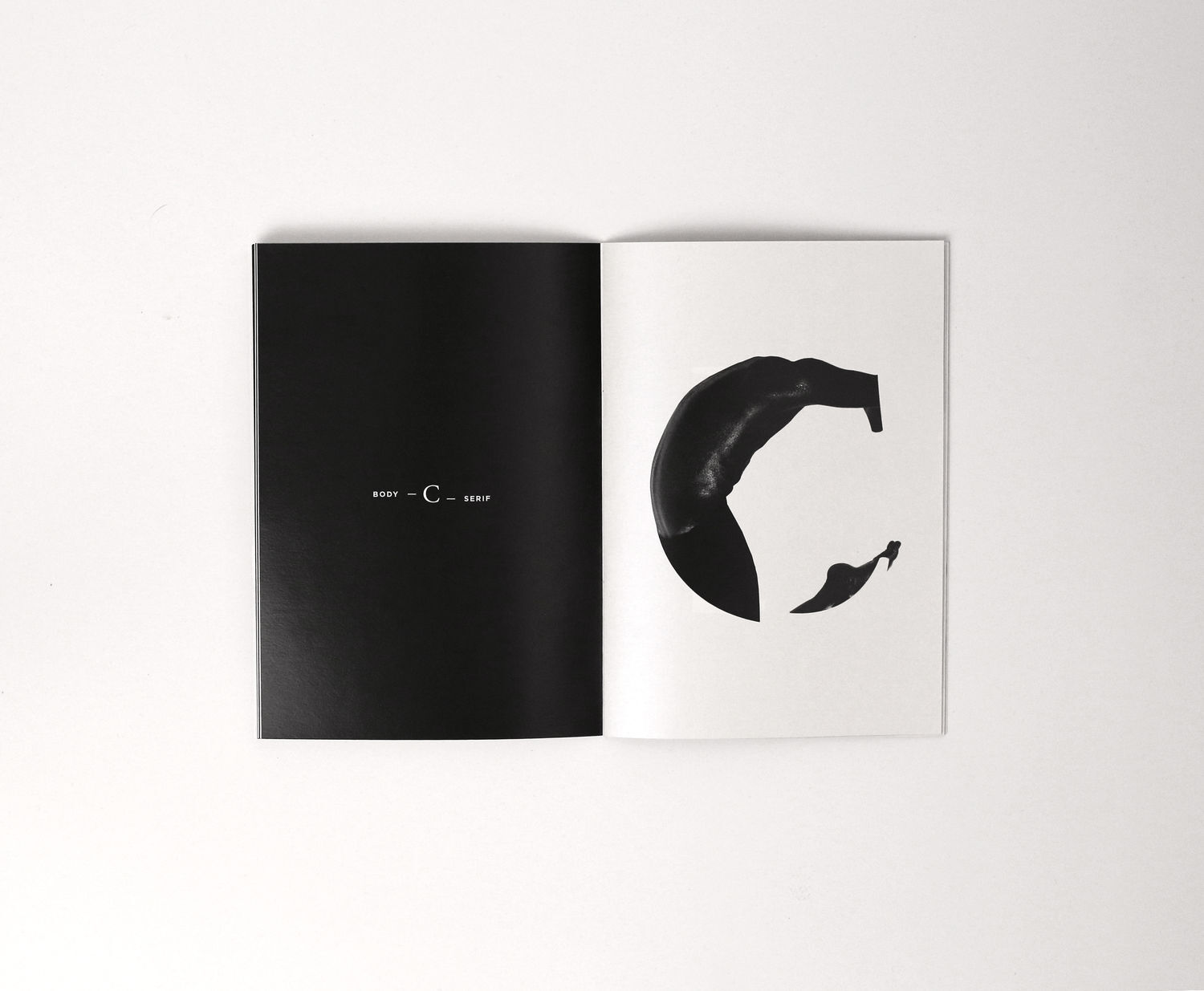 Bodytype font - 1 by Sz&ouml;r&eacute;nyi Vir&aacute;g