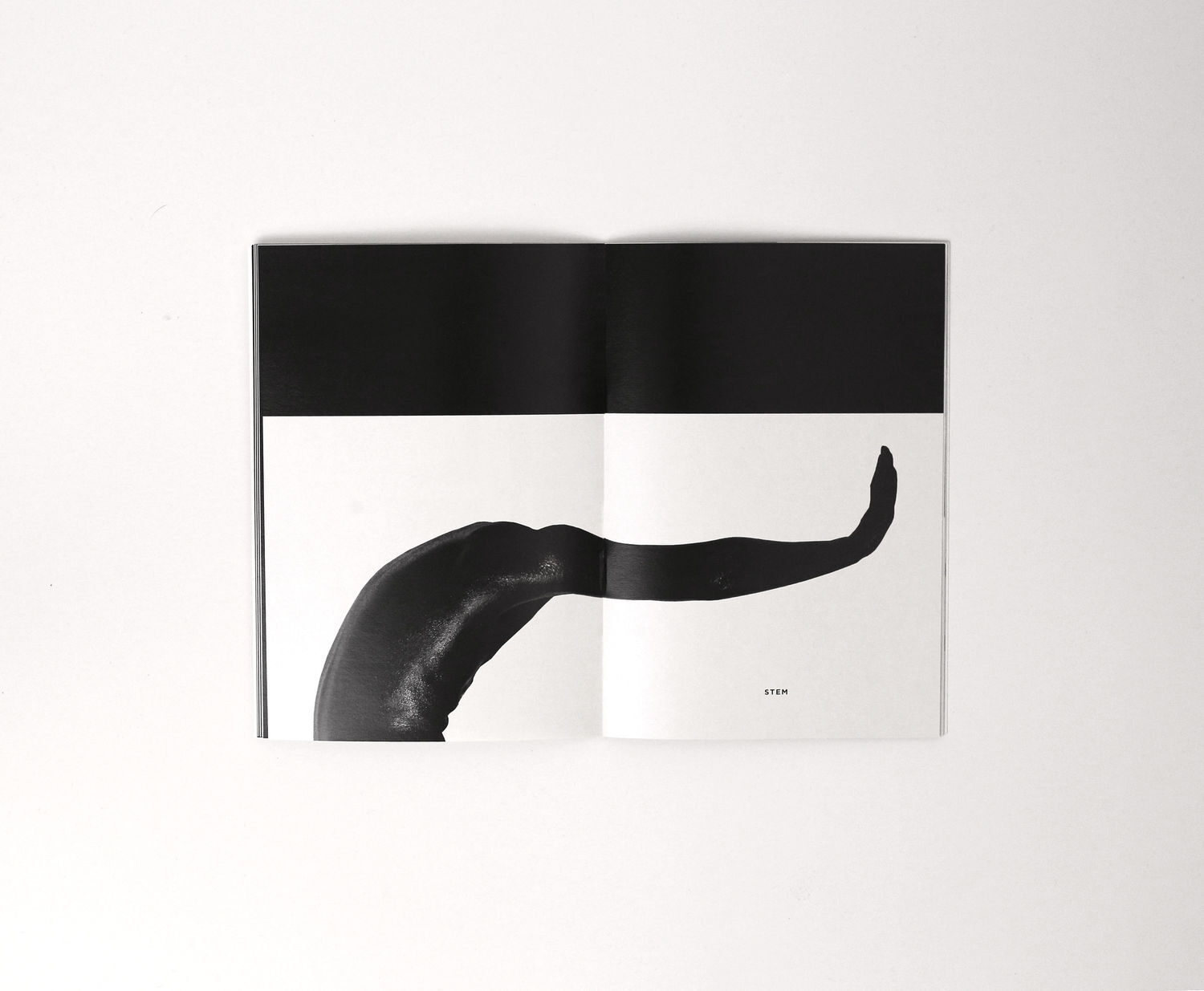 Bodytype font - 1 by Sz&ouml;r&eacute;nyi Vir&aacute;g