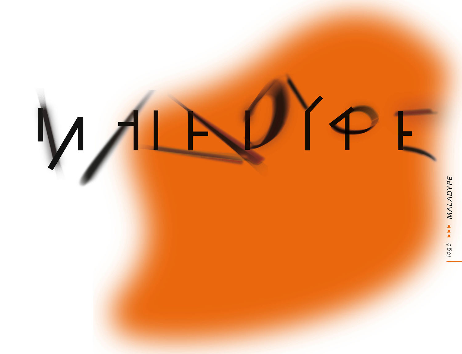 Maladype Sz&iacute;nh&aacute;z experiment&aacute;lis arculata - 1 by Sztrany&aacute;k Zs&oacute;fia
