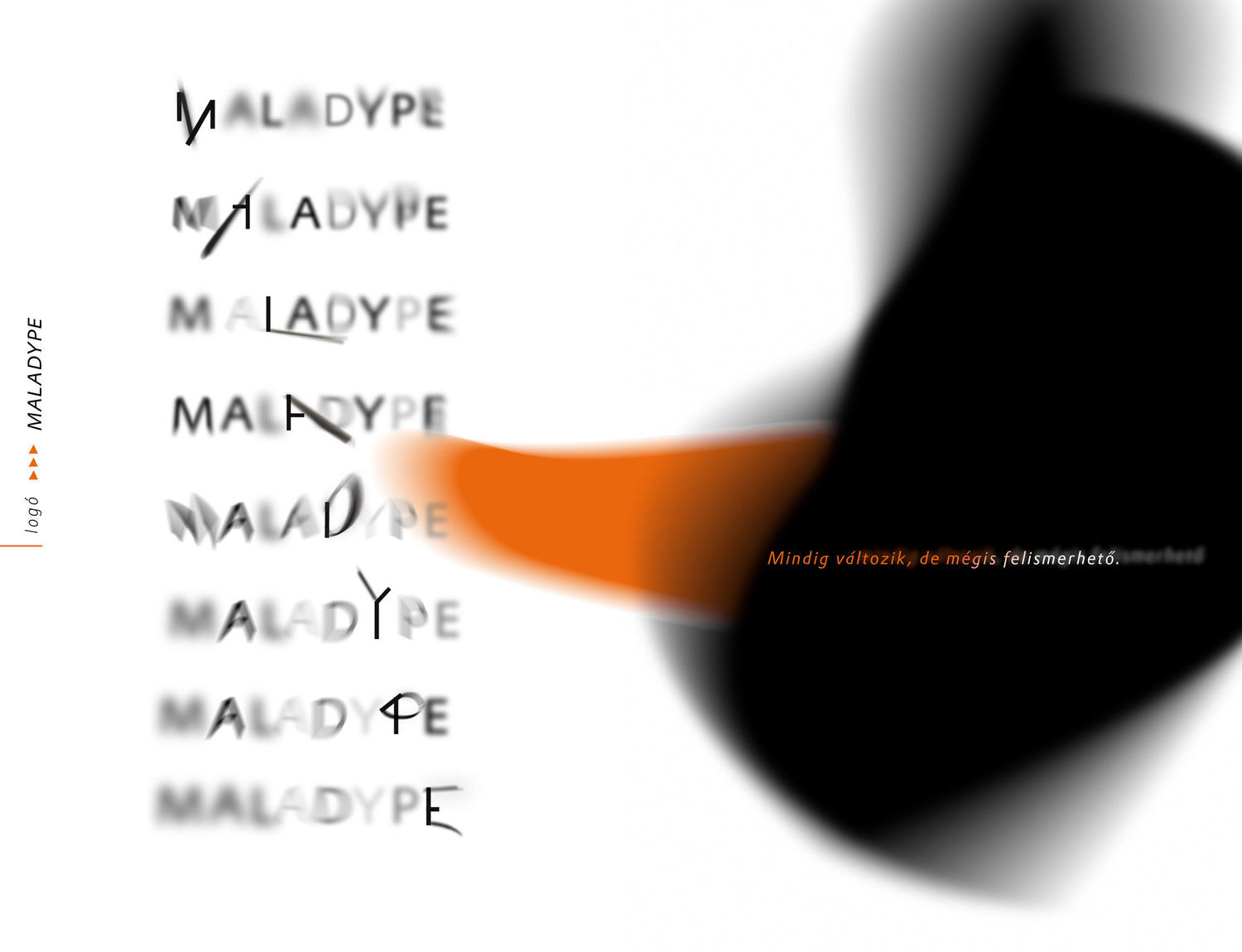Maladype Sz&iacute;nh&aacute;z experiment&aacute;lis arculata - 1 by Sztrany&aacute;k Zs&oacute;fia