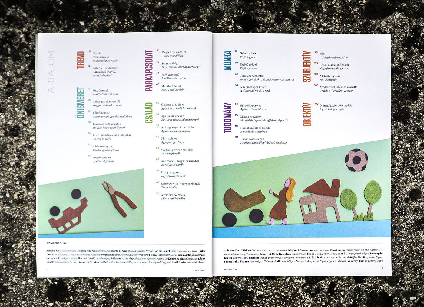 hvg Pszichol&oacute;gia c&iacute;mlapok 2015 - 1 by N I design