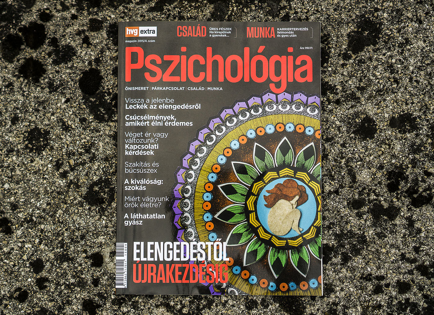 hvg Pszichol&oacute;gia c&iacute;mlapok 2015 - 1 by N I design