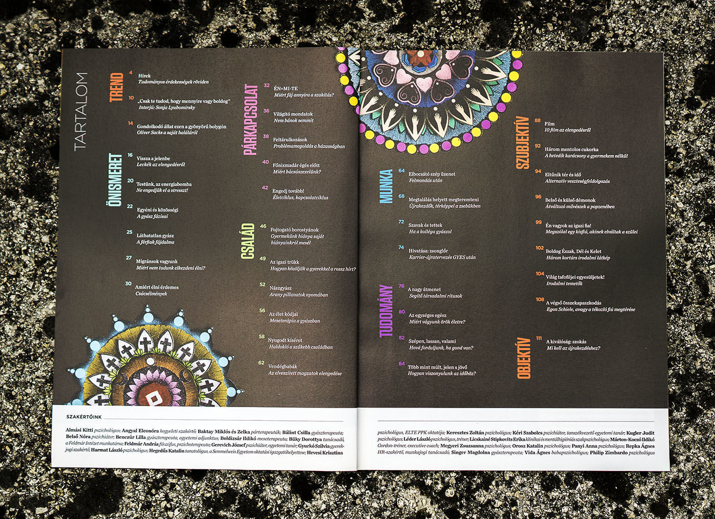 hvg Pszichol&oacute;gia c&iacute;mlapok 2015 - 1 by N I design