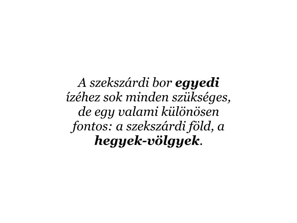 Szeksz&aacute;rdi Borvid&eacute;k Arculat 2. - 1 by UniqueField Communications