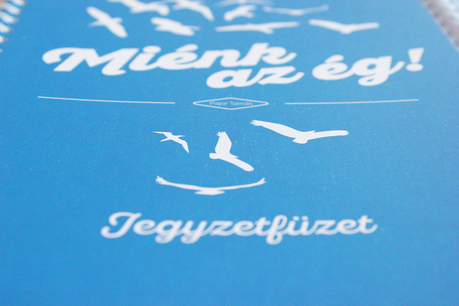 JEGYZETF&Uuml;ZET - 1 by petrilladesign