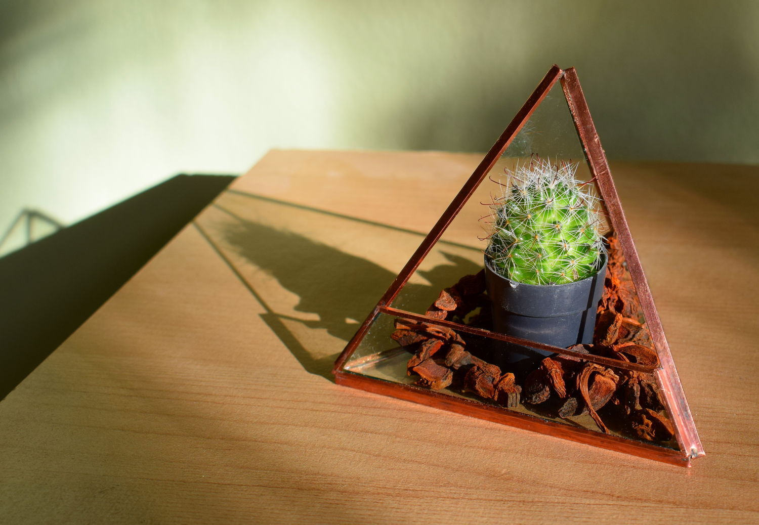 Terrariums / Terr&aacute;riumok - 1 by Vitroom