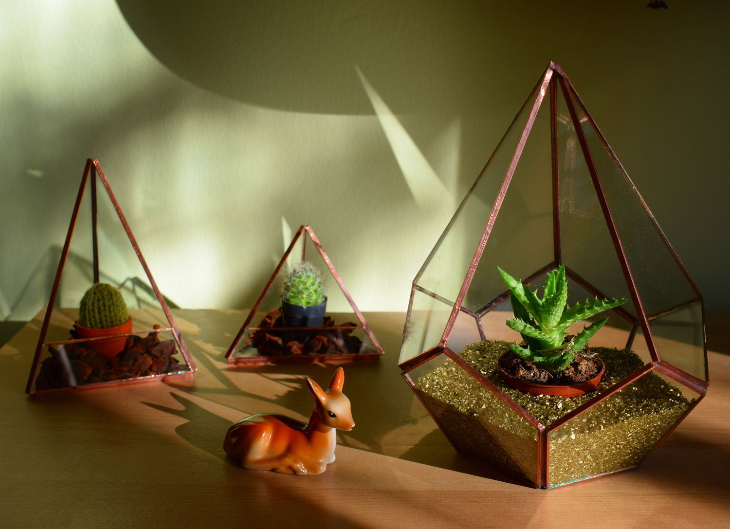 Terrariums / Terr&aacute;riumok - 1 by Vitroom