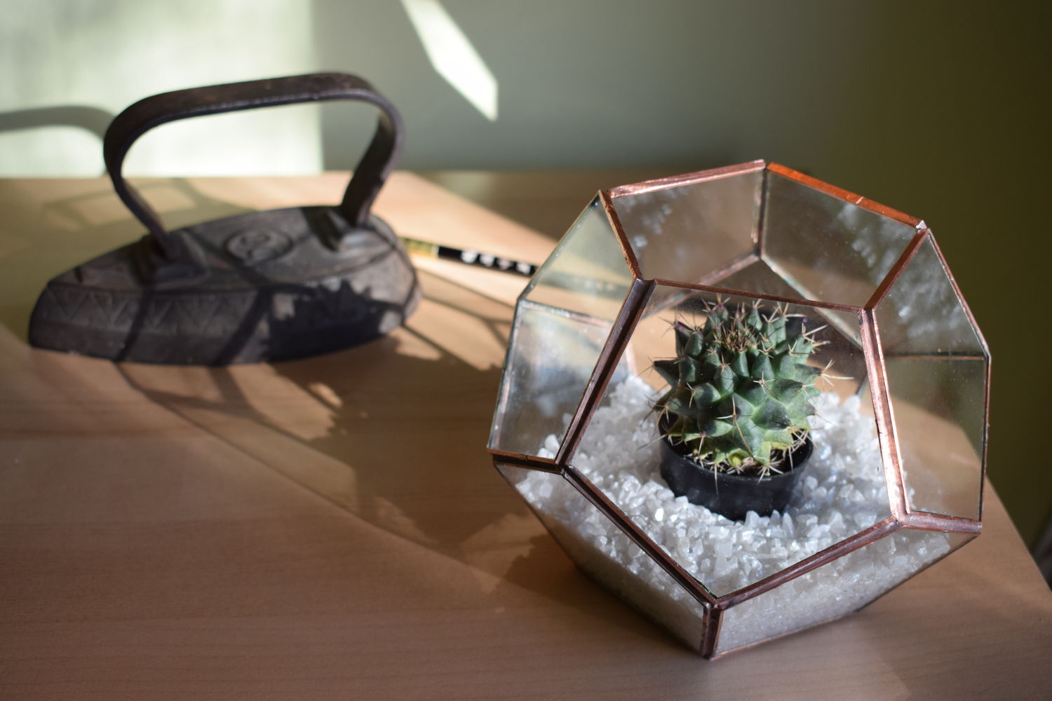Terrariums / Terr&aacute;riumok - 1 by Vitroom