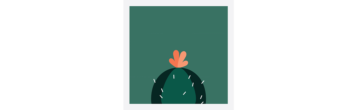 Cactus - 1 by M&aacute;t&eacute; R&eacute;ka