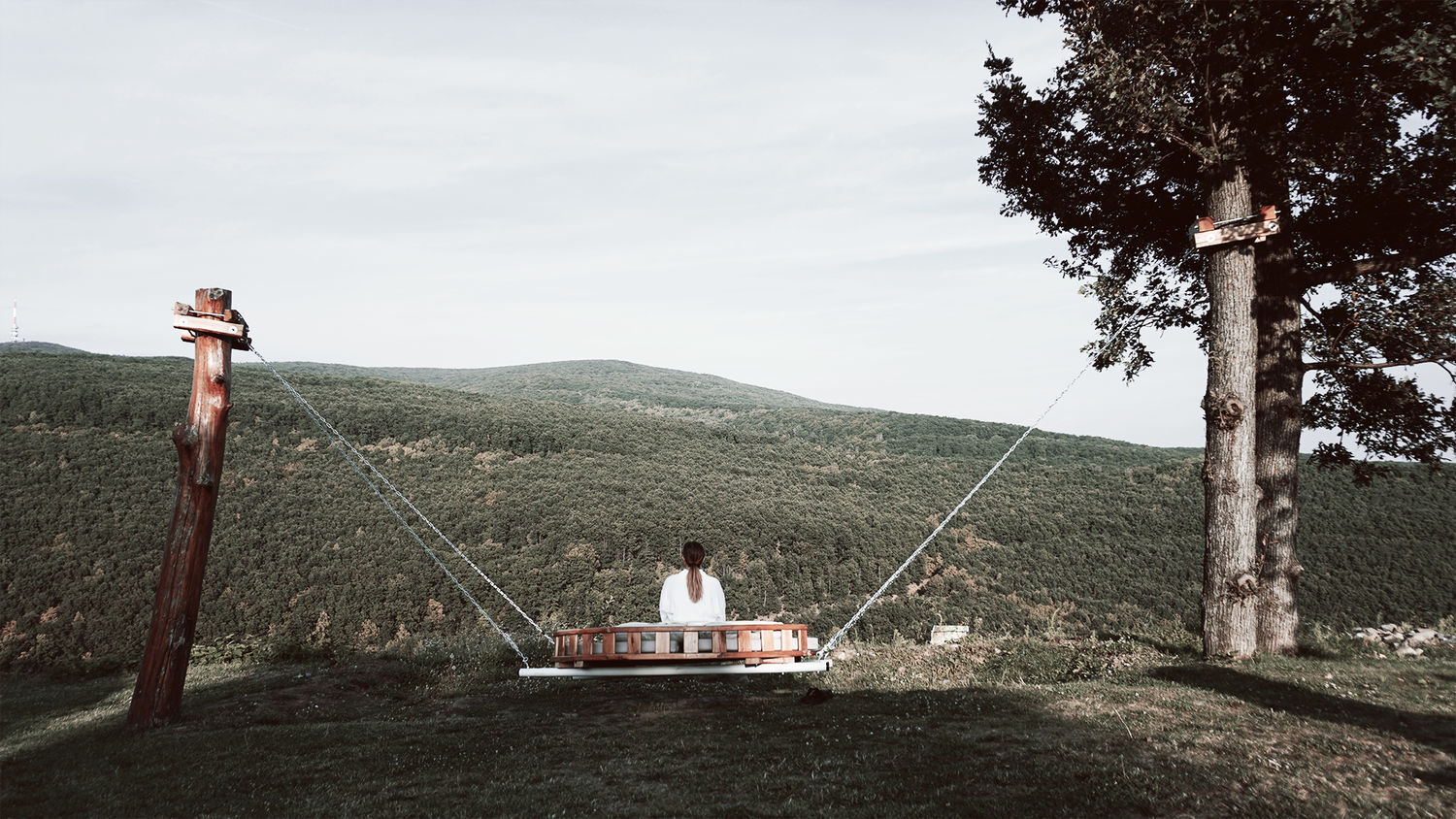 Photography - 1 by Plus