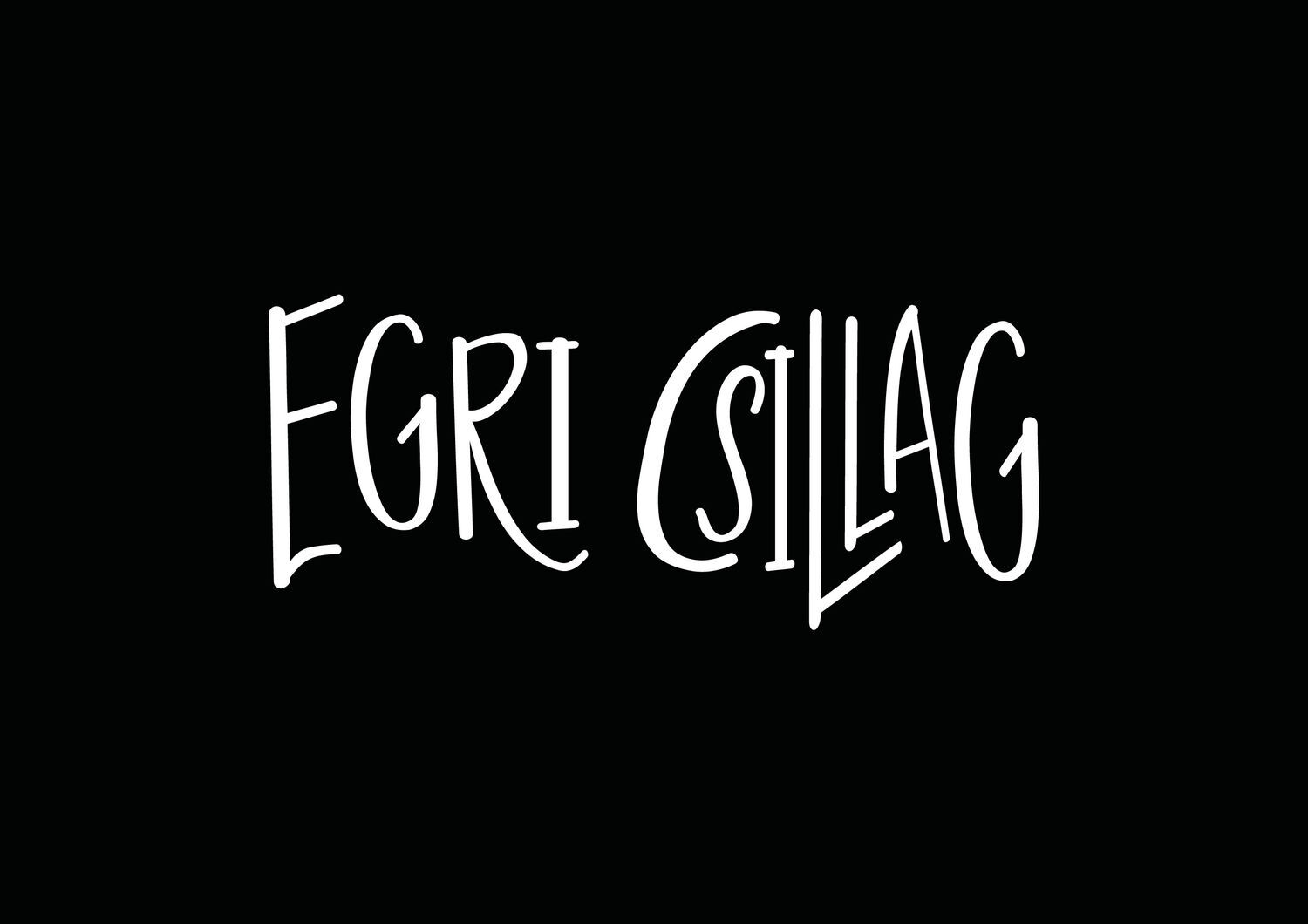 Egri csillag bor arculat  - 1 by M&eacute;sz&aacute;ros D&oacute;ra