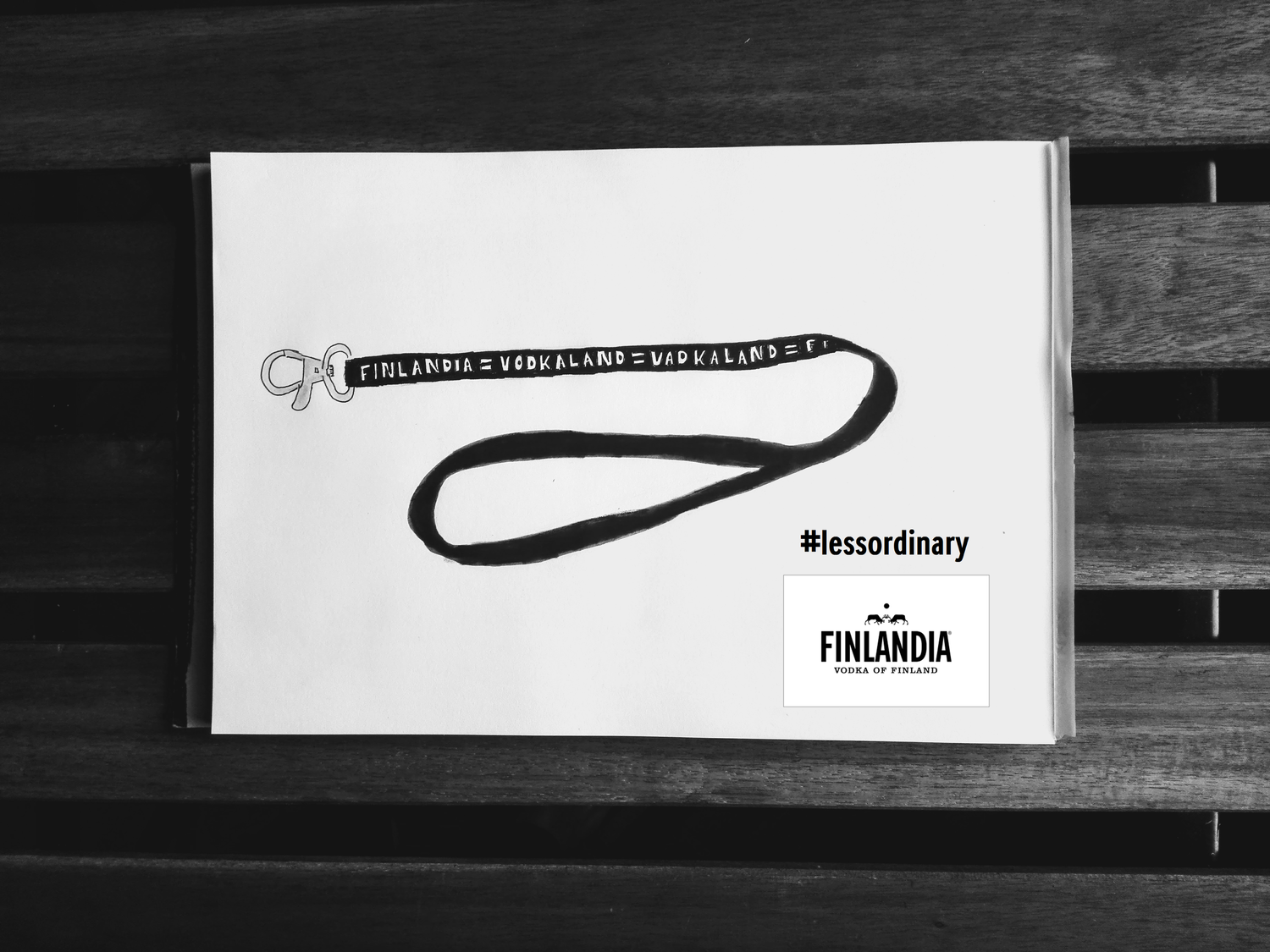 "Finlandia = Vodkaland = Vadkaland" pass tart&oacute; - 1 by isazoli