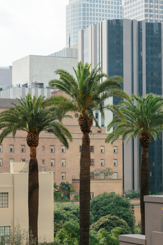 DTLA - 1 by Popovits B&aacute;lint