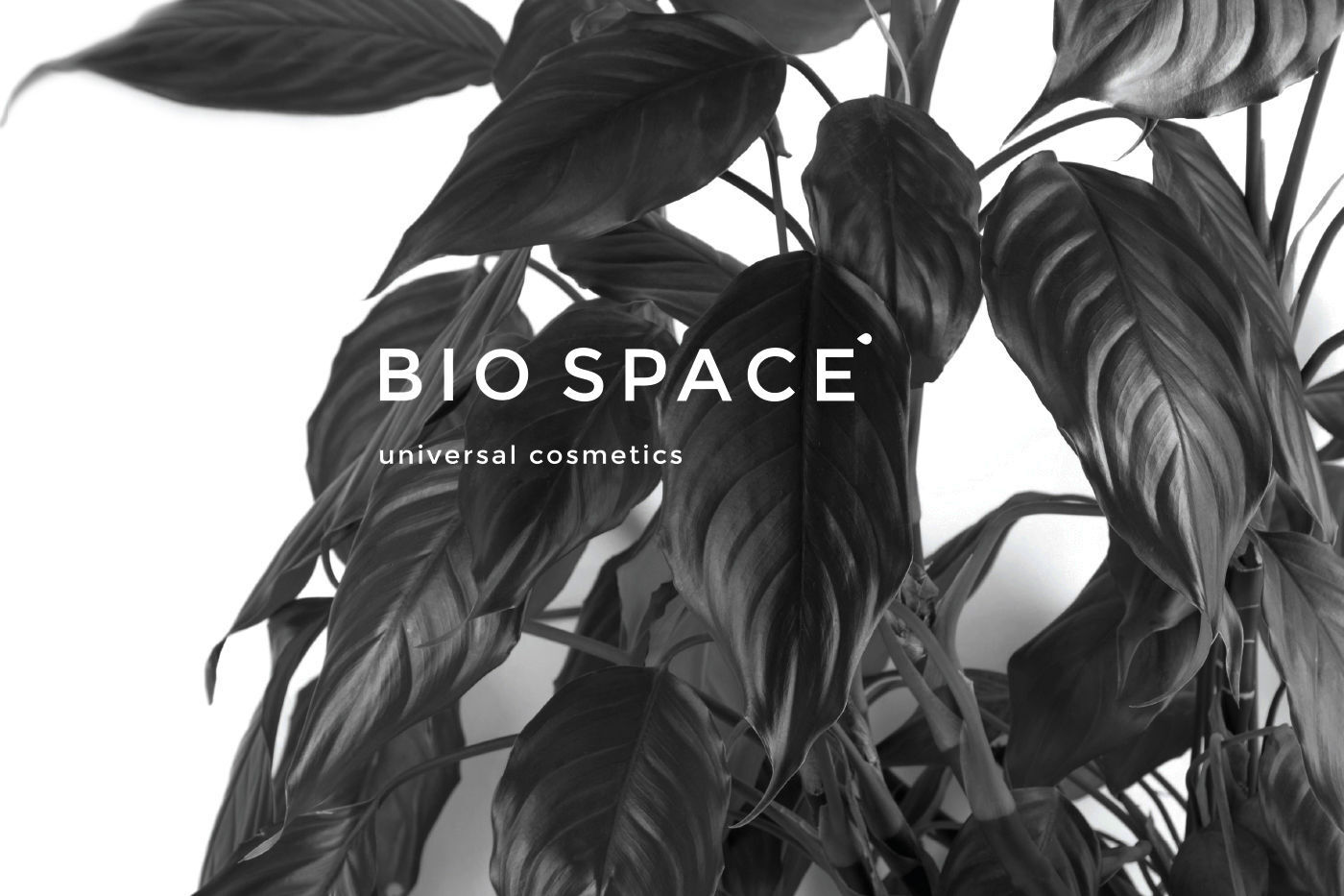 Bio Space  - 1 by Studio Marmor