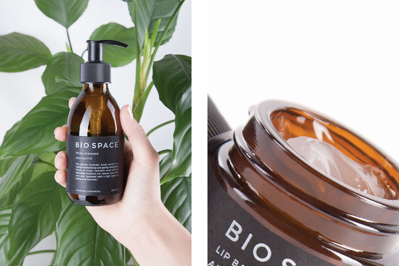 Bio Space  - 1 by Studio Marmor