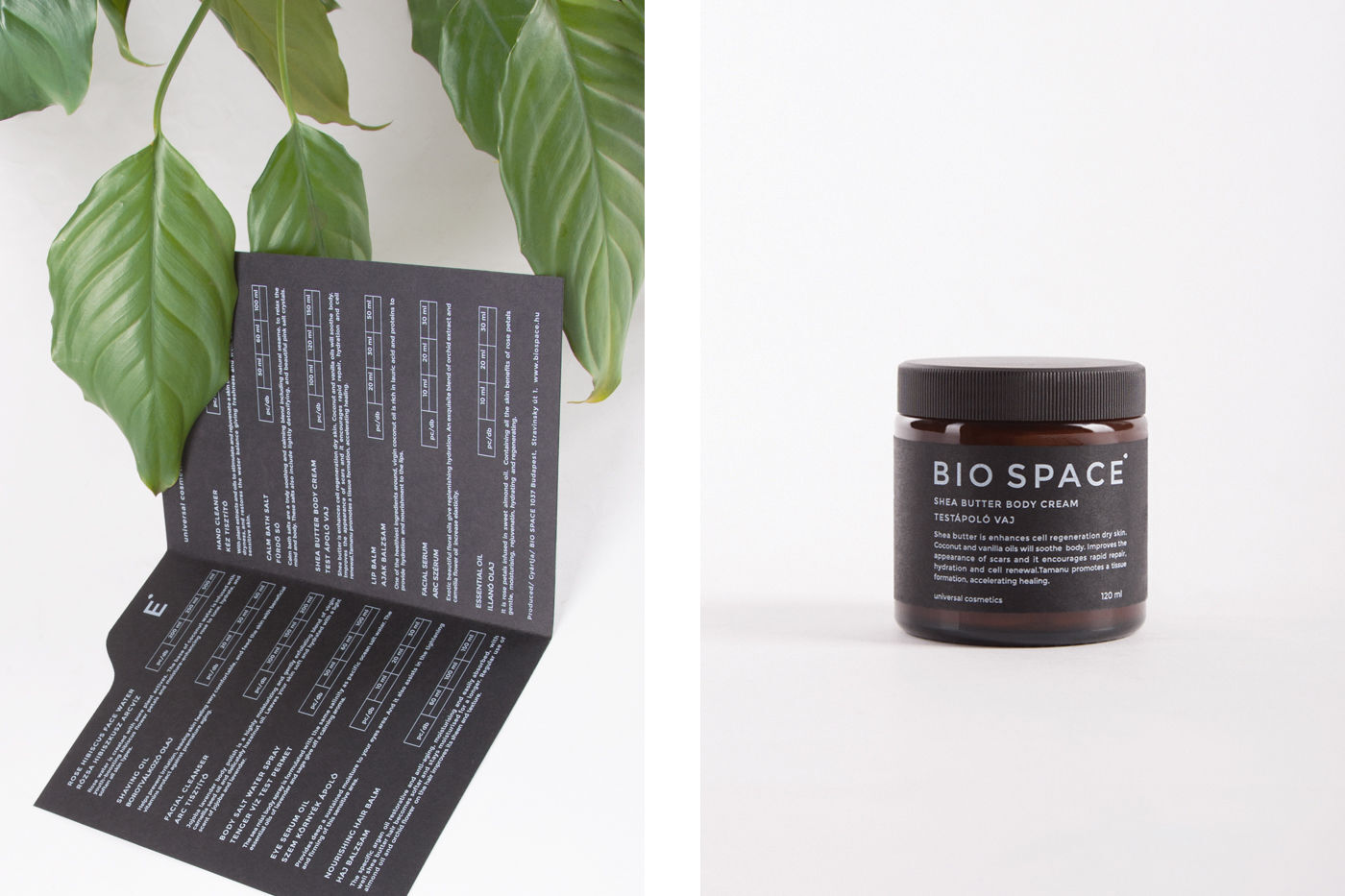 Bio Space  - 1 by Studio Marmor