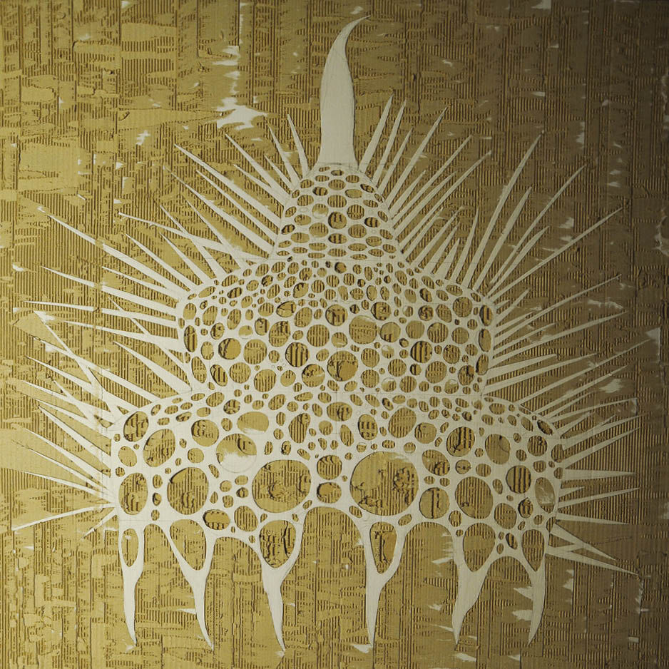 Radiolaria - 1 by Mur&aacute;nyi Marcell