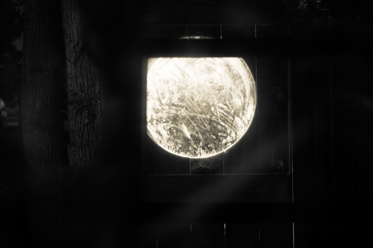 Transzcendenci&aacute;k - 1 by P&aacute;ll-Somogyi  Kinga