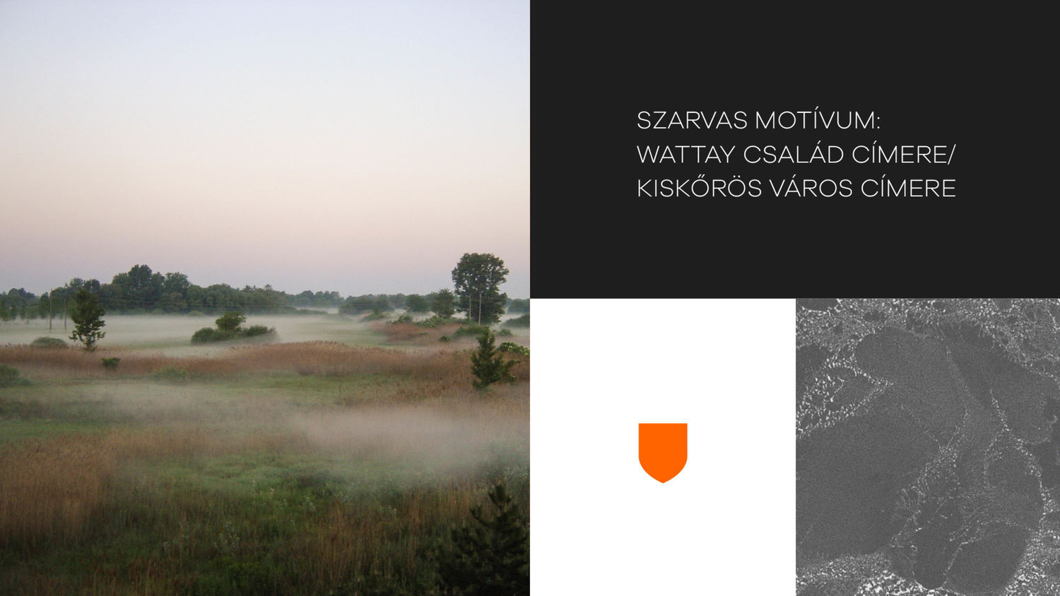 Kiskőr&ouml;s 300 - 1 by K&aacute;tay Hunor