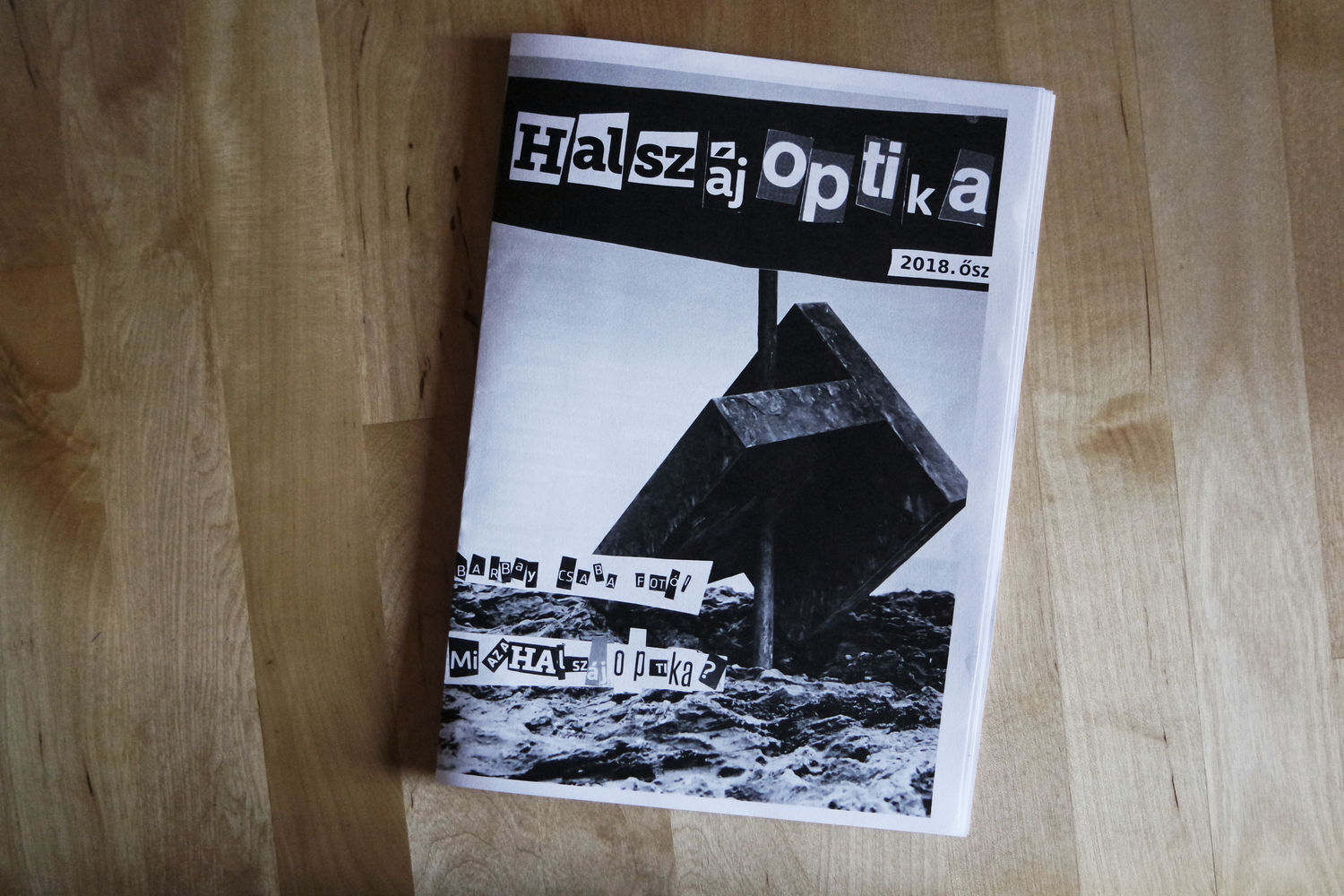 Halsz&aacute;joptika fanzine 1. sz&aacute;m - 1 by Nagy M. Hedvig