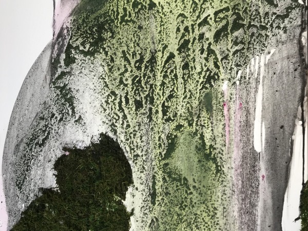 Sipos Aliz Menta Material 