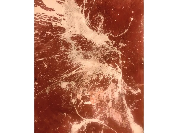 Scarlet I.