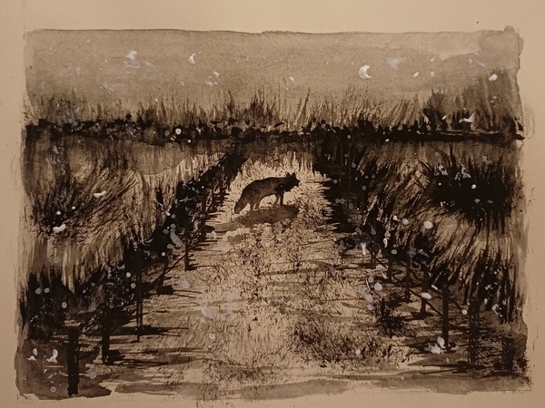 Vers - illusztr&aacute;ci&oacute;k