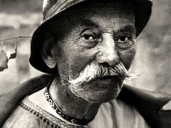Gyimesi bar&aacute;zd&aacute;k