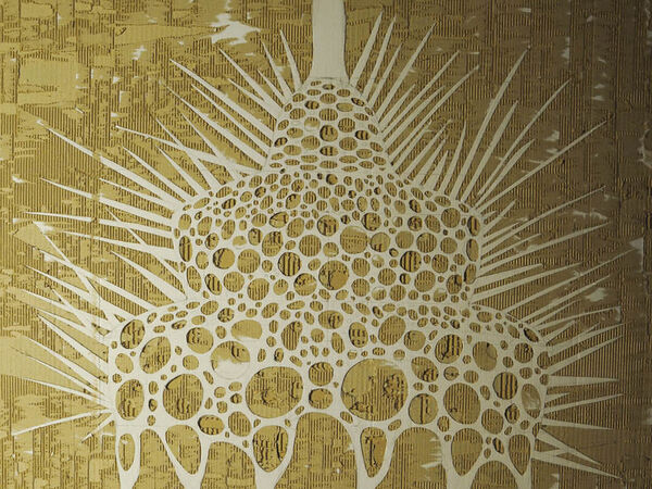 Radiolaria